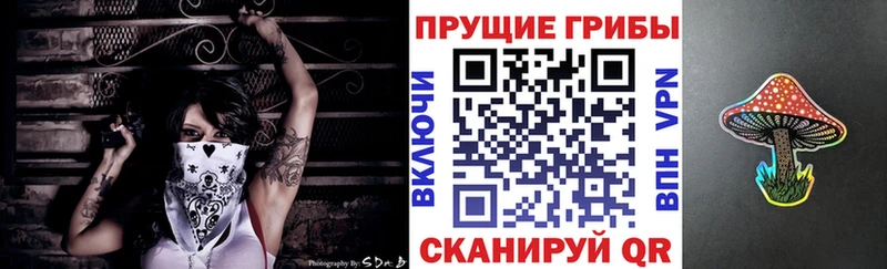 Псилоцибиновые грибы MAGIC MUSHROOMS  Купить закладки  Подпорожье 