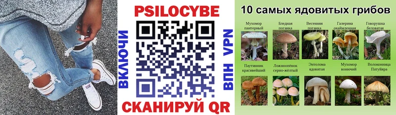 Псилоцибиновые грибы ЛСД Подпорожье
